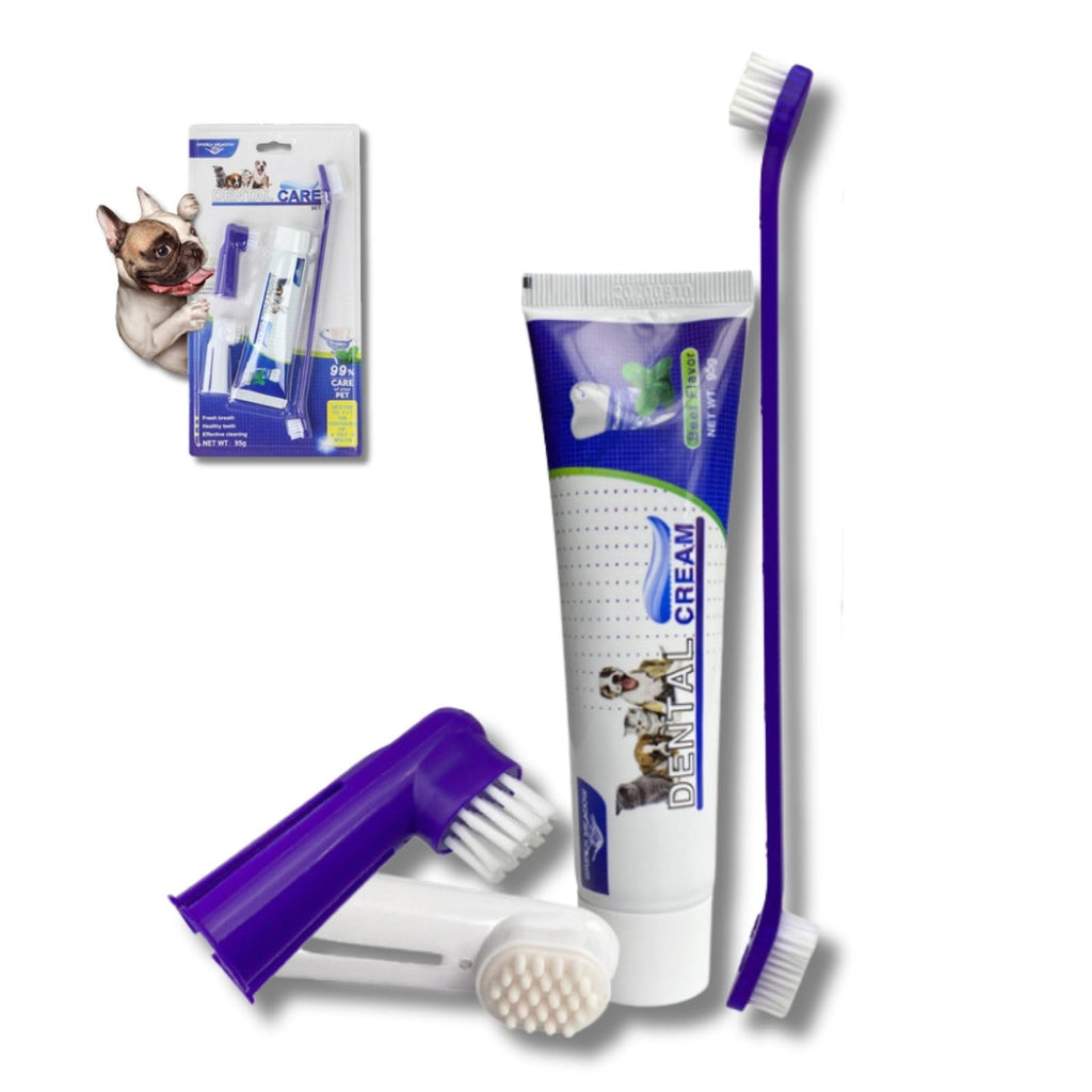 Professional Dental Care Kit