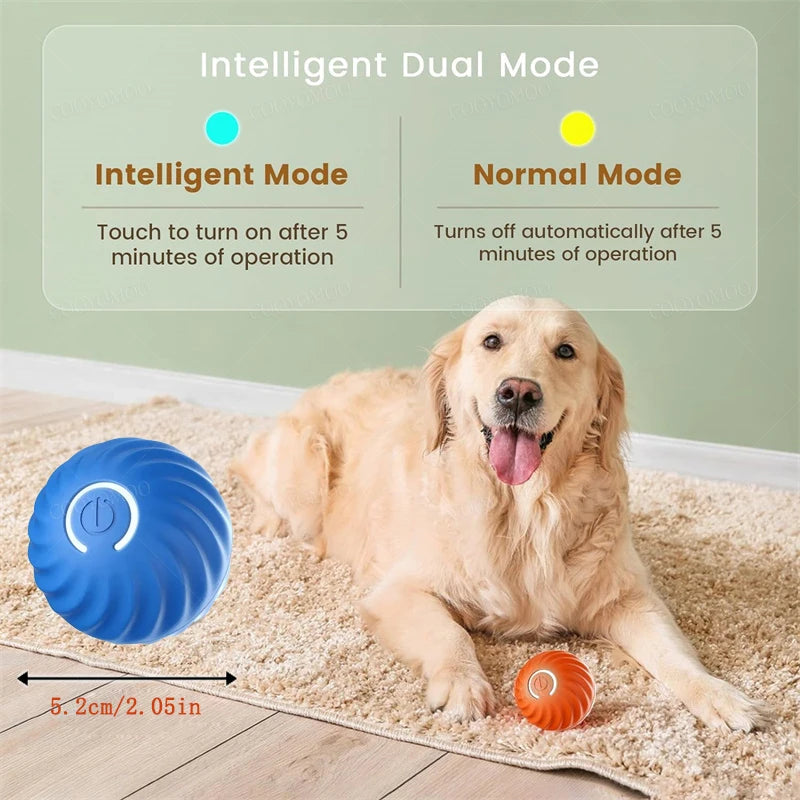 Smart Pet Ball Toy