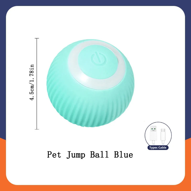 Smart Pet Ball Toy