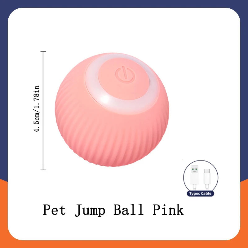 Smart Pet Ball Toy