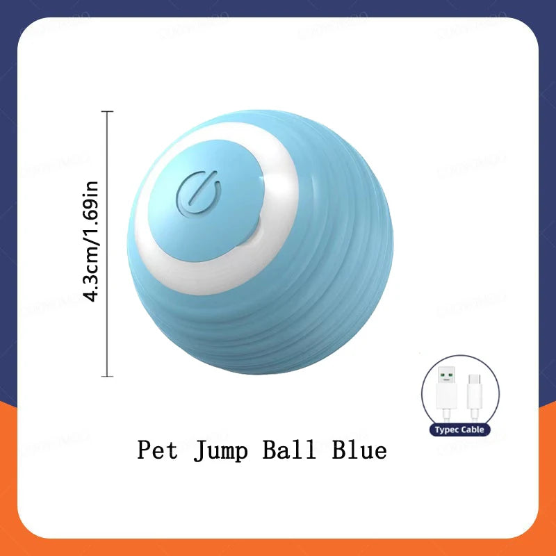 Smart Pet Ball Toy