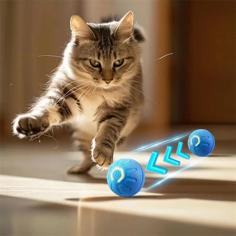 Smart Pet Ball Toy