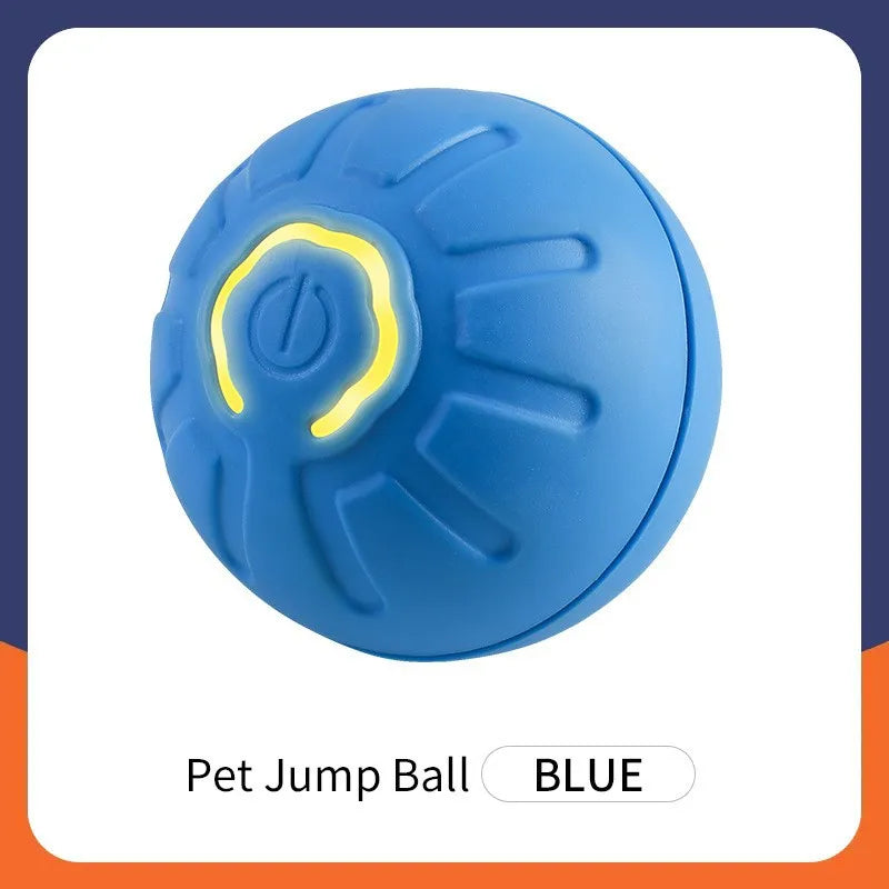 Smart Pet Ball Toy