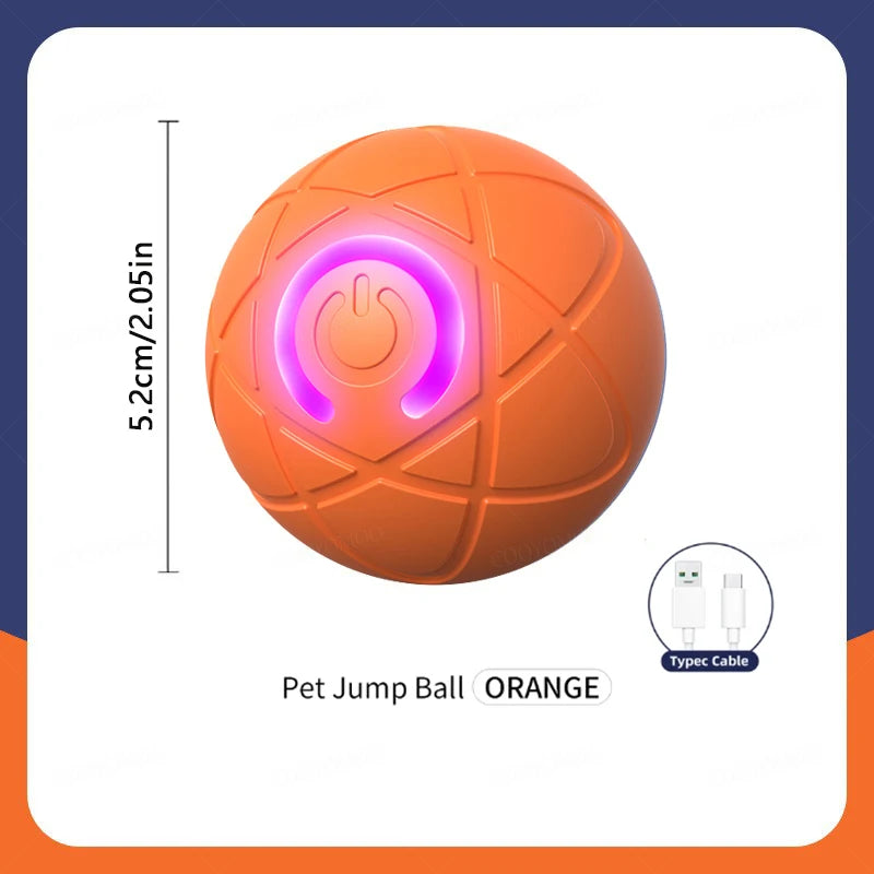 Smart Pet Ball Toy