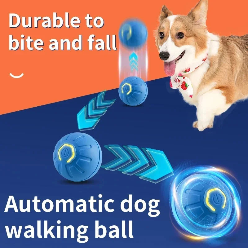 Smart Pet Ball Toy