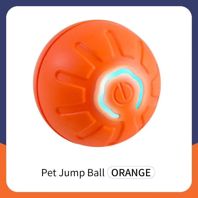 Smart Pet Ball Toy