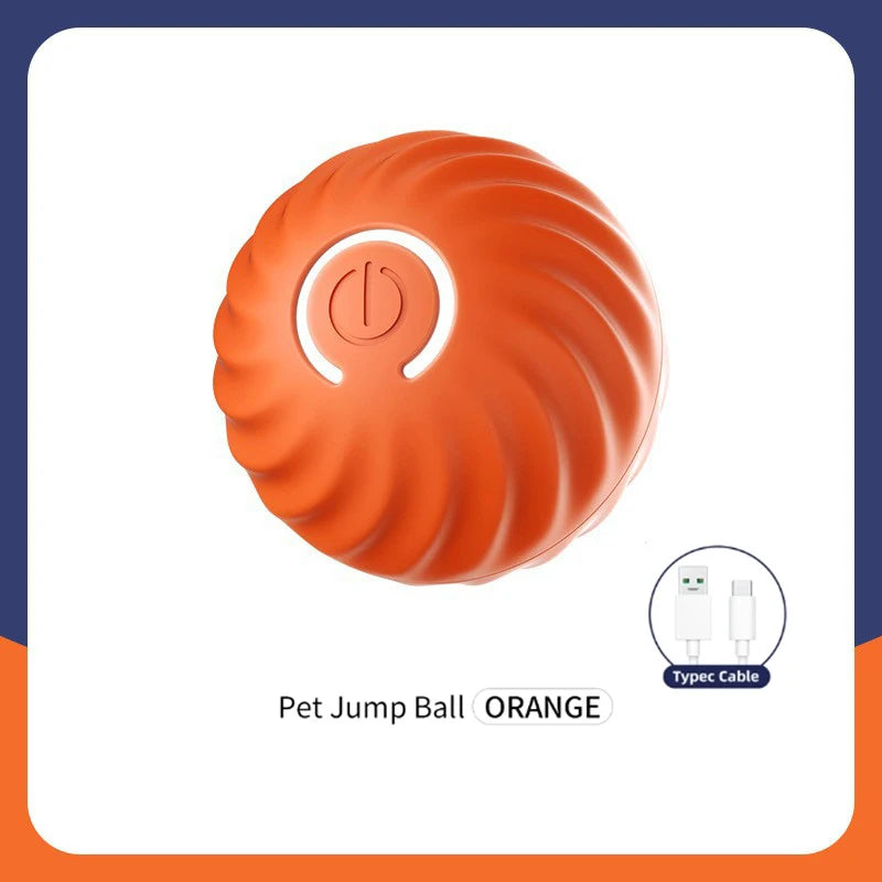 Smart Pet Ball Toy