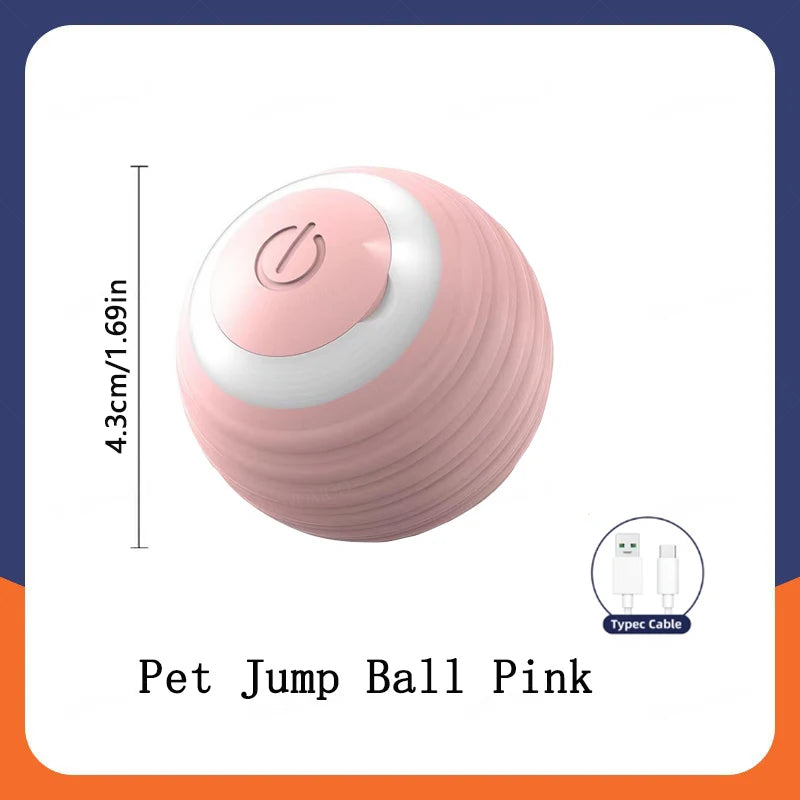 Smart Pet Ball Toy