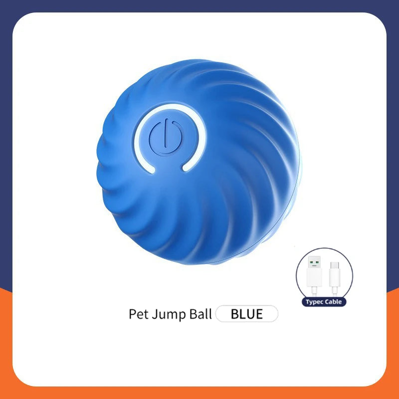 Smart Pet Ball Toy